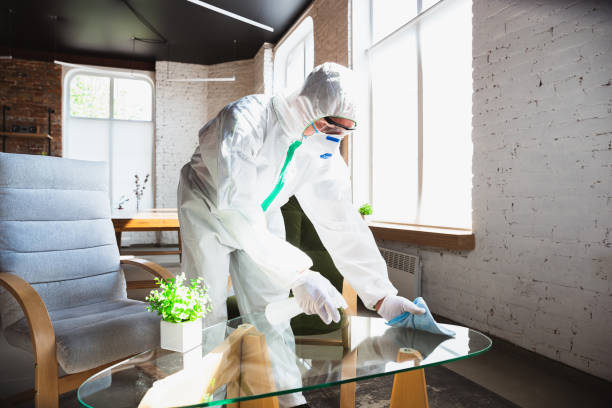 Best Mold Remediation for Healthcare Facilities  in USA